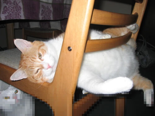 乐鱼app-_全民健身节：让每个人都能感受网球魅力_，全民健身网络大赛