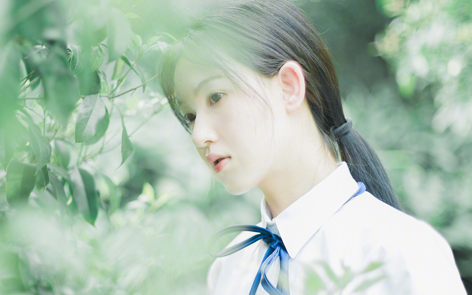 “中超全新赛制公布,提升比赛竞技性与观赏性”,中超的赛制