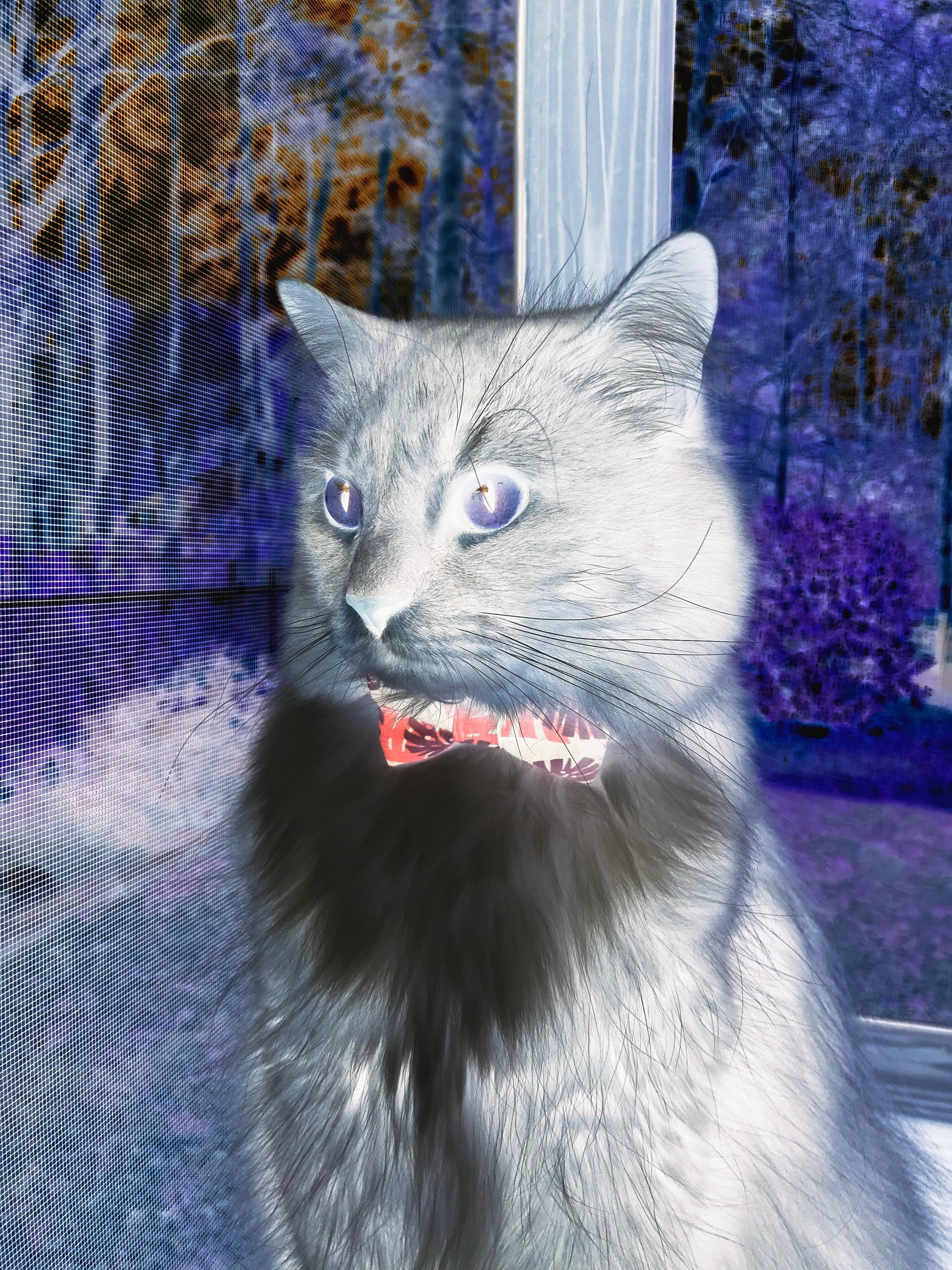 “中超再迎引援高峰,各大豪门备战新赛季”,中超引援最新消息2021