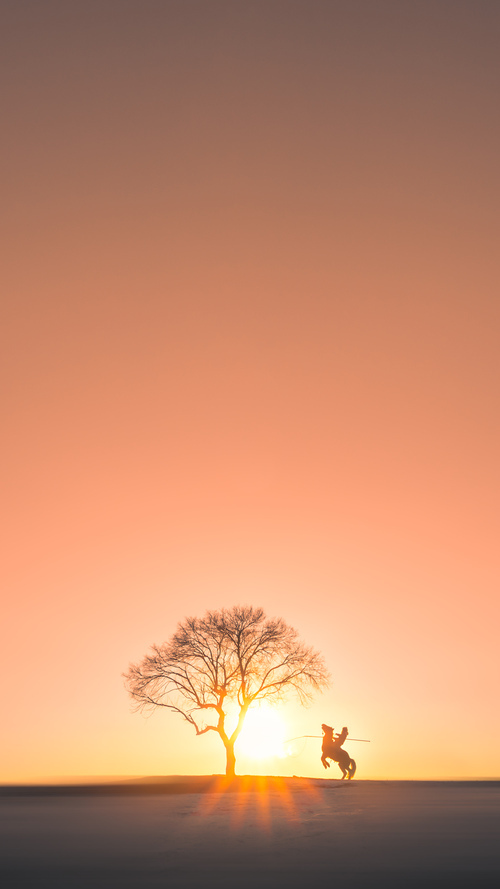 leyu乐鱼体育综合-《新兴游戏风格逐渐崛起：卡牌、模拟、策略迎来春天》，卡牌类新游