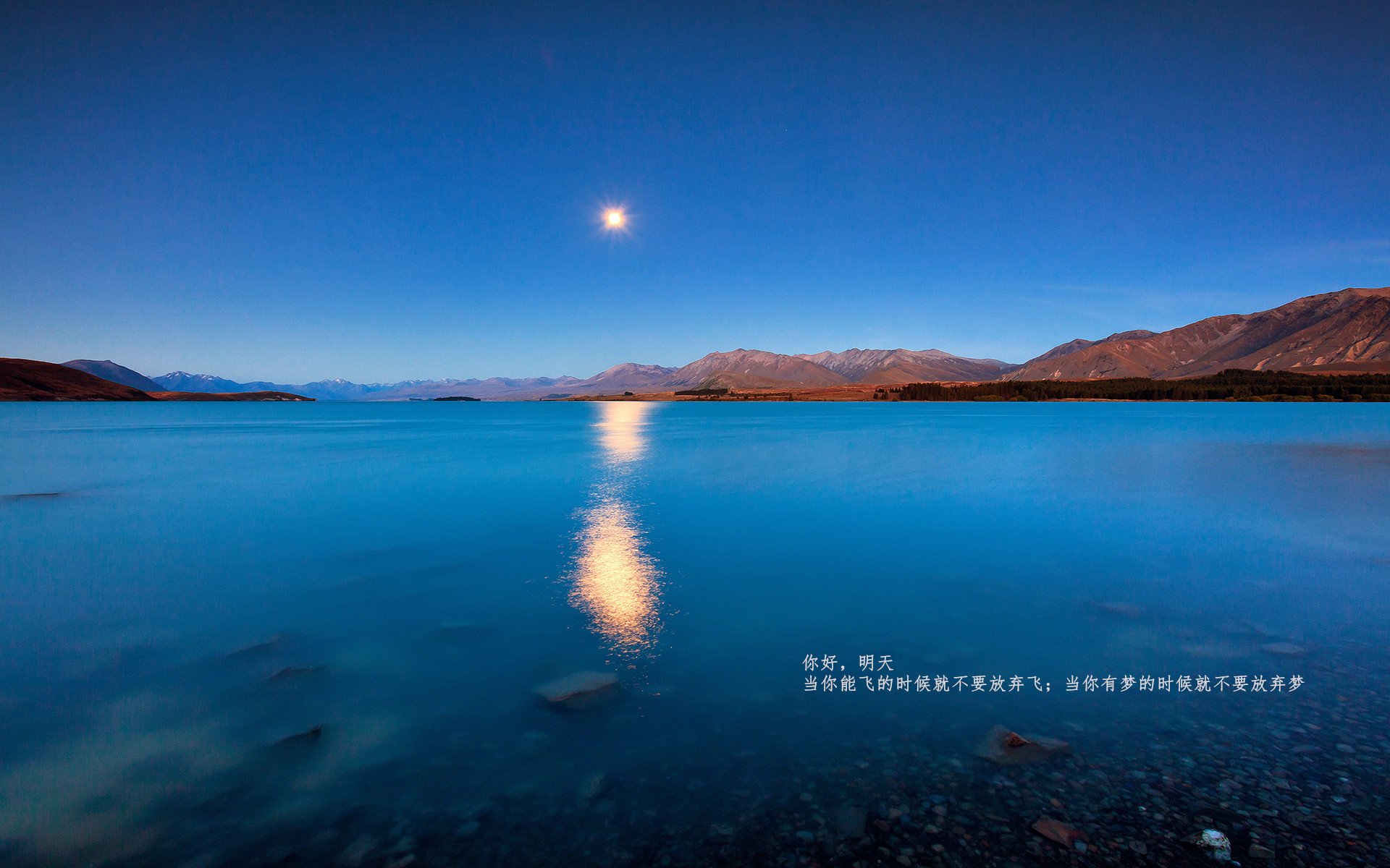 leyu乐鱼官网登录入口-上海申花面对韩国劲旅，备战大决赛，上海申花,上海国际将分别迎战