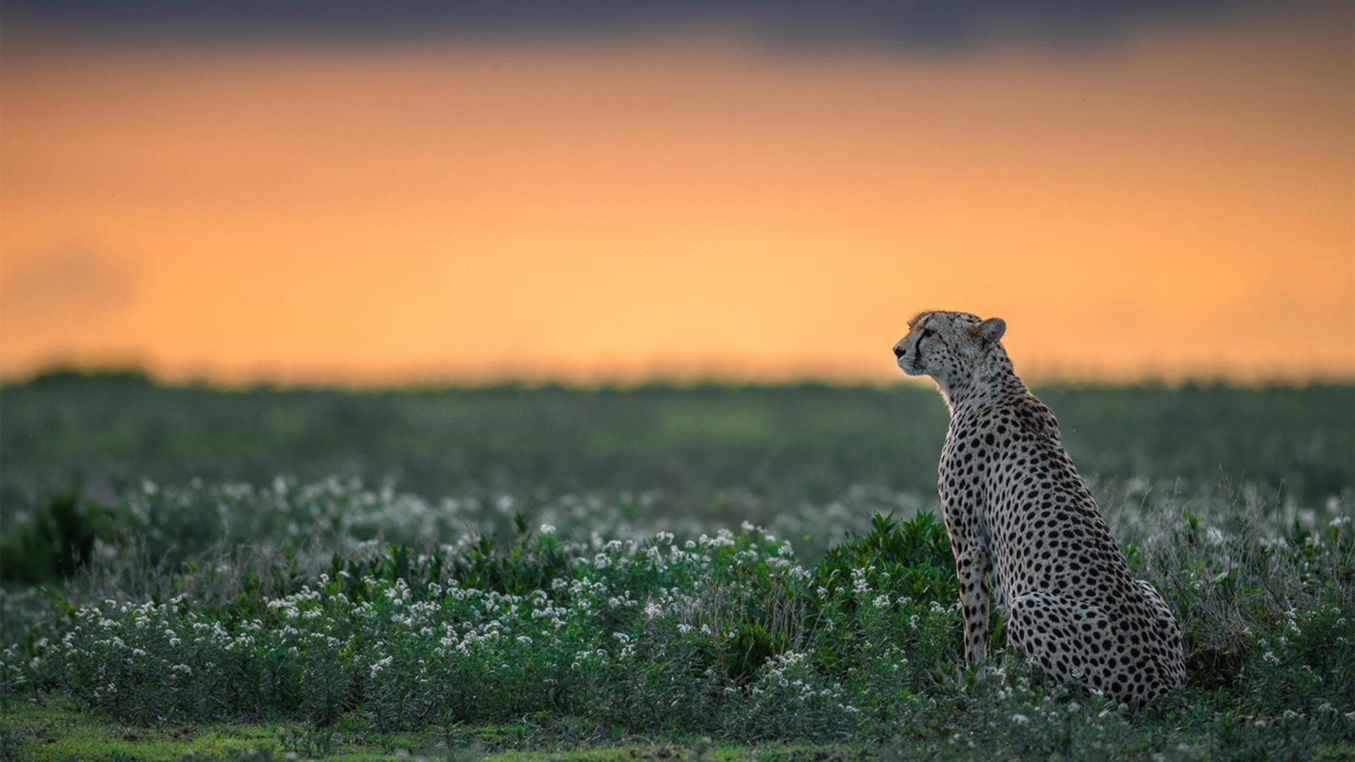 云达不莱梅球员受伤情绪低落，球队迎接新挑战，云达不莱梅vs美因茨