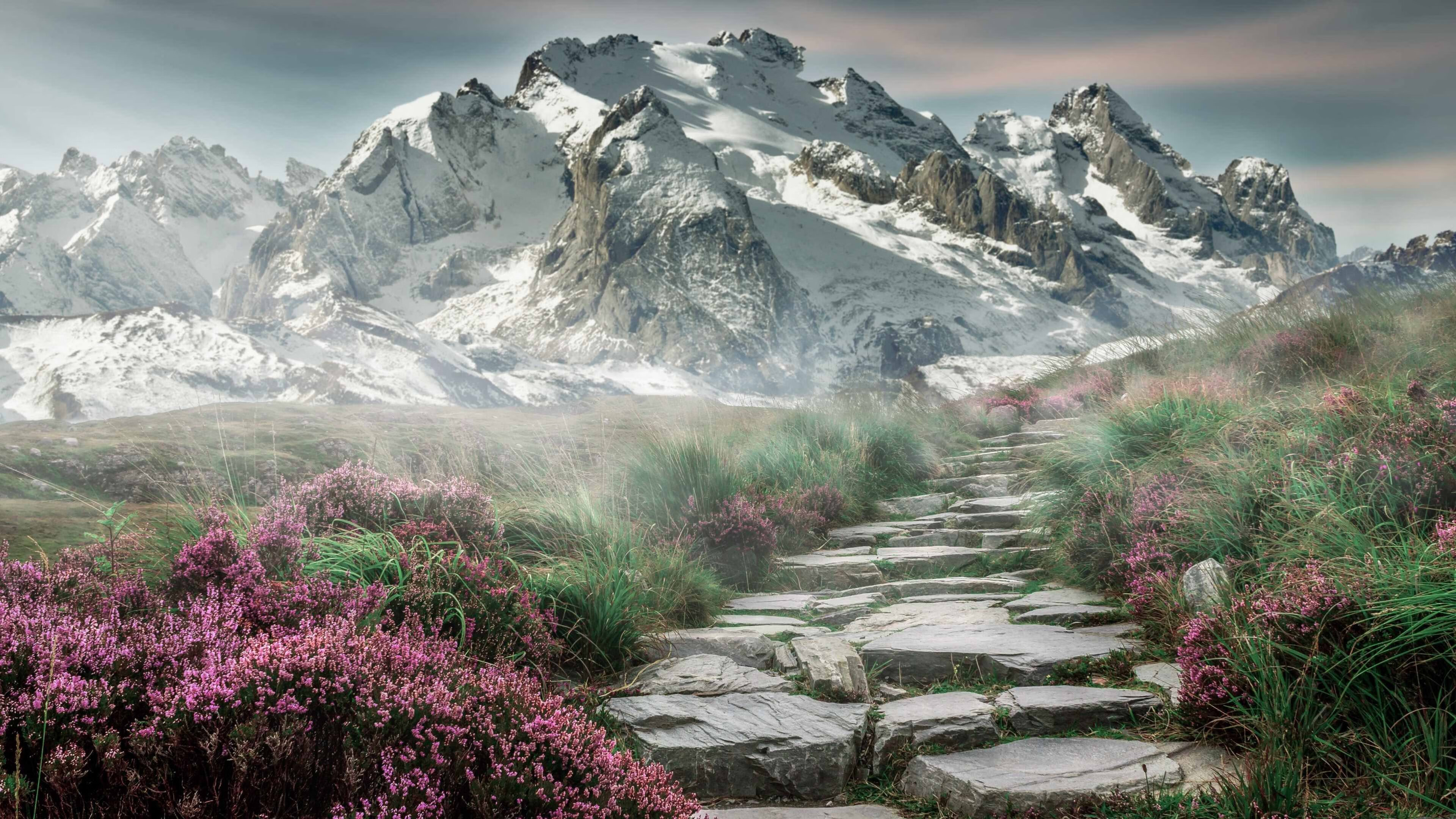 勒沃库森客场失利,陷入连败泥沼,勒沃库森在哪个城市