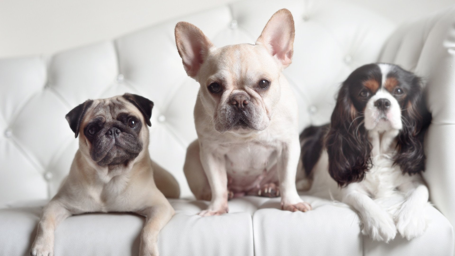 leyu乐鱼-尼姆主场逆转斯特拉斯堡，取得胜利，尼姆主场逆转斯特拉斯堡,取得胜利了吗