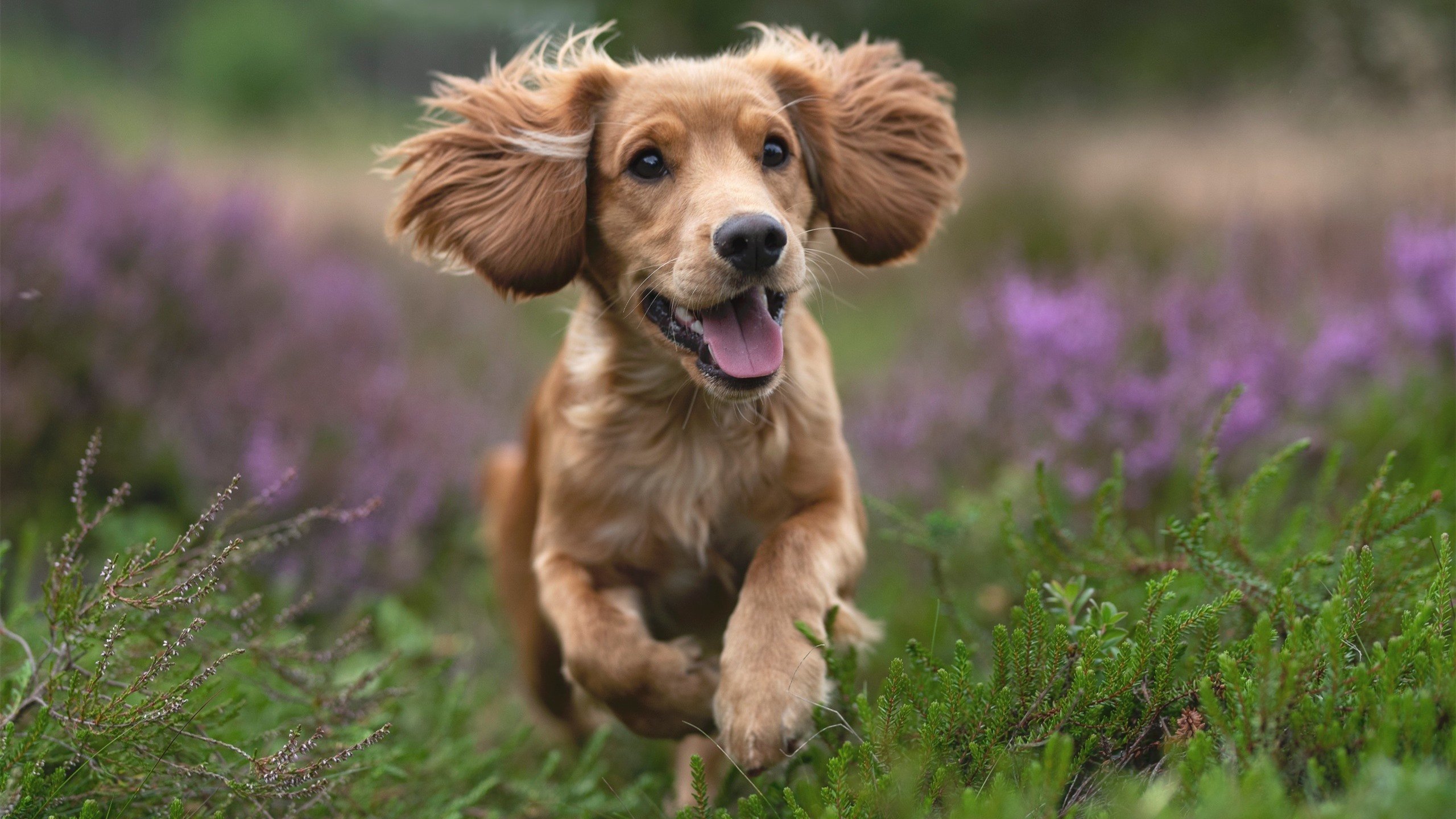 广州恒大U23梯队逆转上港展现后备力量，广州恒大u19球员名单