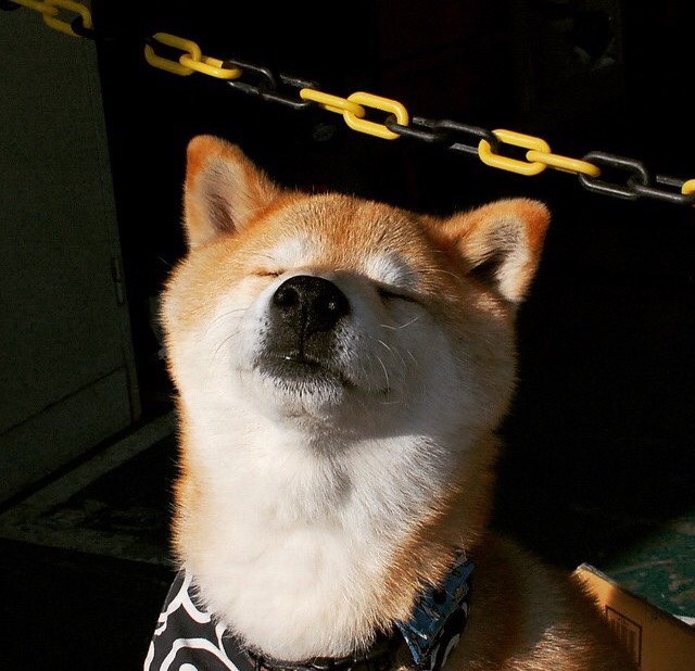 乐鱼体育App下载-拉科鲁尼亚与巴拉多利德平分秋色，拉科鲁尼亚的球星