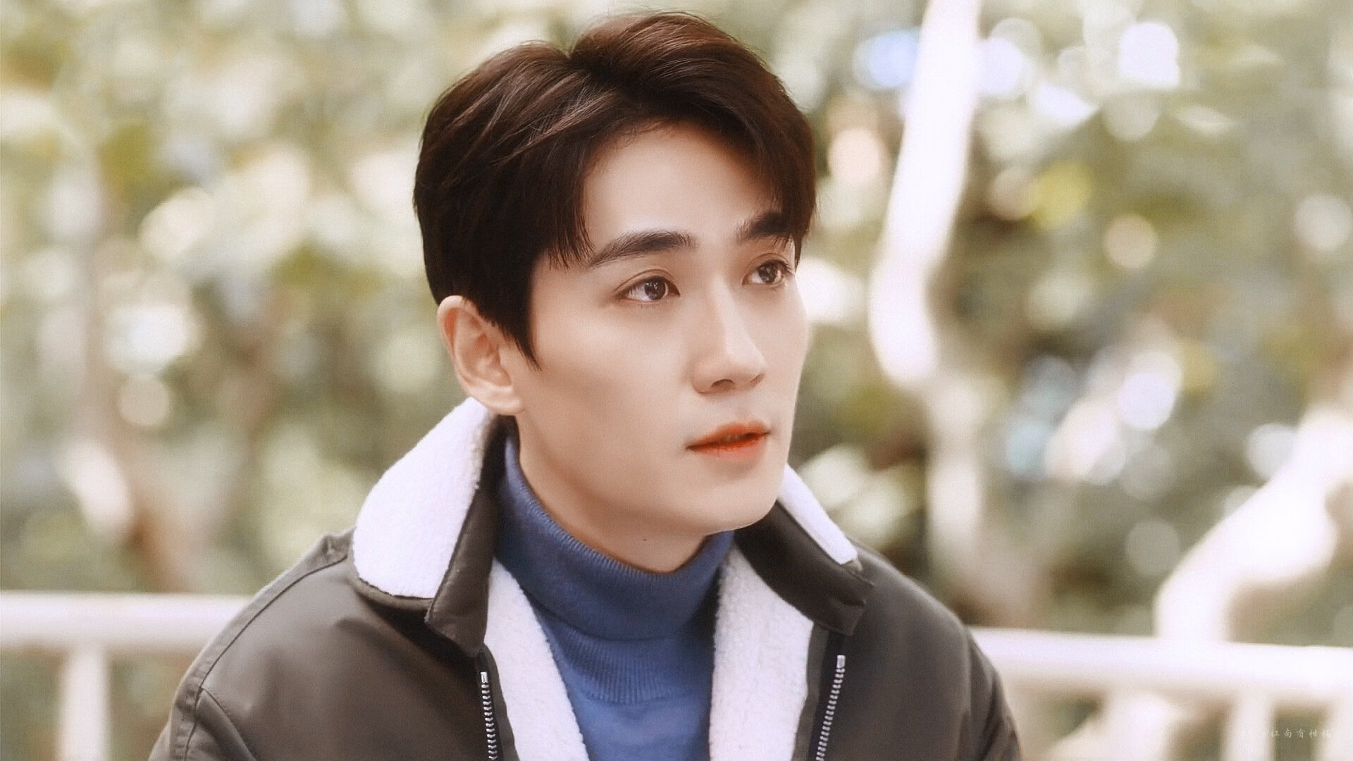 日本队新战术显威力！，日本队战绩