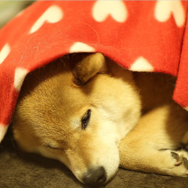 Leyu Sport登录入口-电竞战队跨平台内容合作及粉丝互动新模式，游戏电竞战队