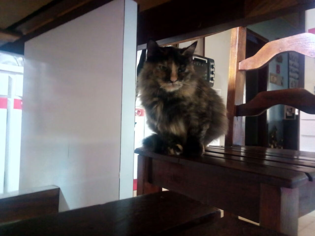 LeyuSports-精彩瞬间频现，球员们在场上展现出色表现，球星精彩瞬间