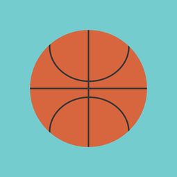 leyu乐鱼体育综合-中国篮球职业联赛市场竞争环境与发展策略，中国竞技篮球的发展趋势