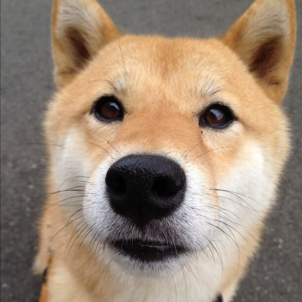 篮球运动员专项体能训练数据驱动的个性化设计,篮球运动员的体能训练涵盖的六大项内容