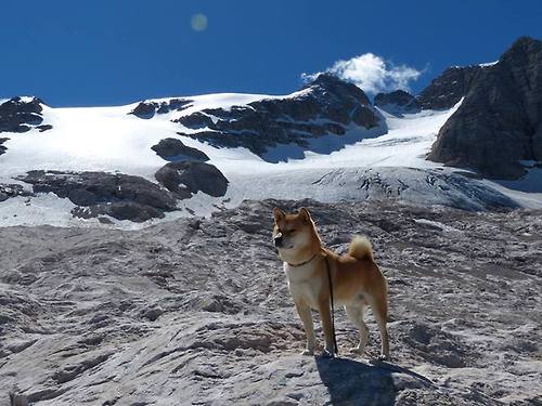 中国男篮注重身体对抗 提高比赛硬度,如何提高中国男篮水平