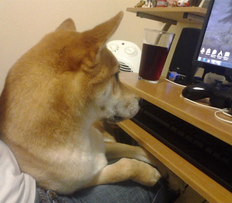 乐鱼娱乐app-奥预赛中国女足战胜 球员展现强烈求胜欲，中国女足奥预赛出线