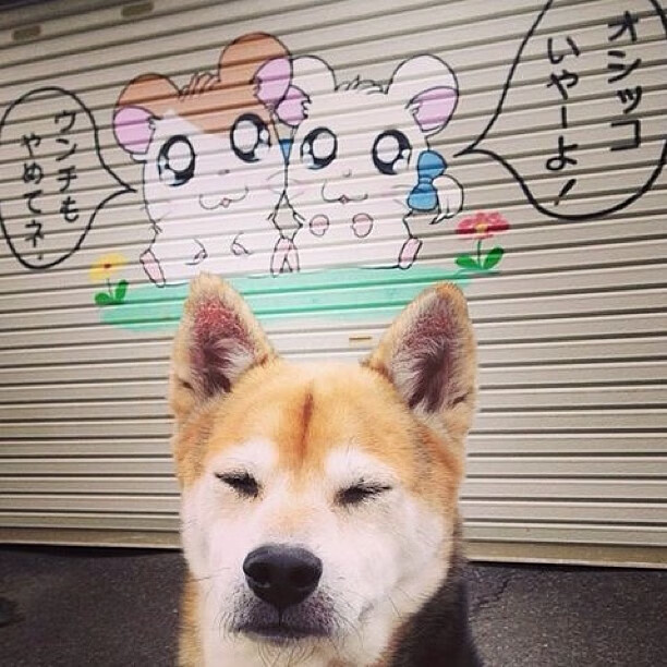 拉脱维亚男篮在欧洲预选赛中表现出色,迈出关键一步