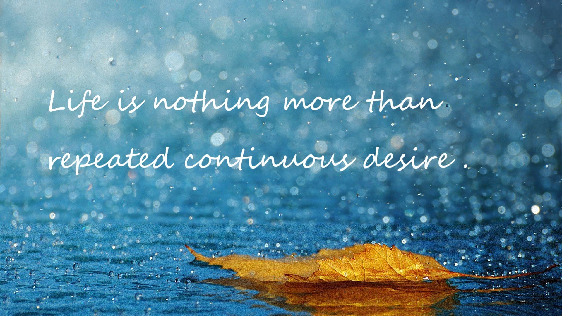 波兰蝶泳项目稳定提升，蝶泳波浪怎么练