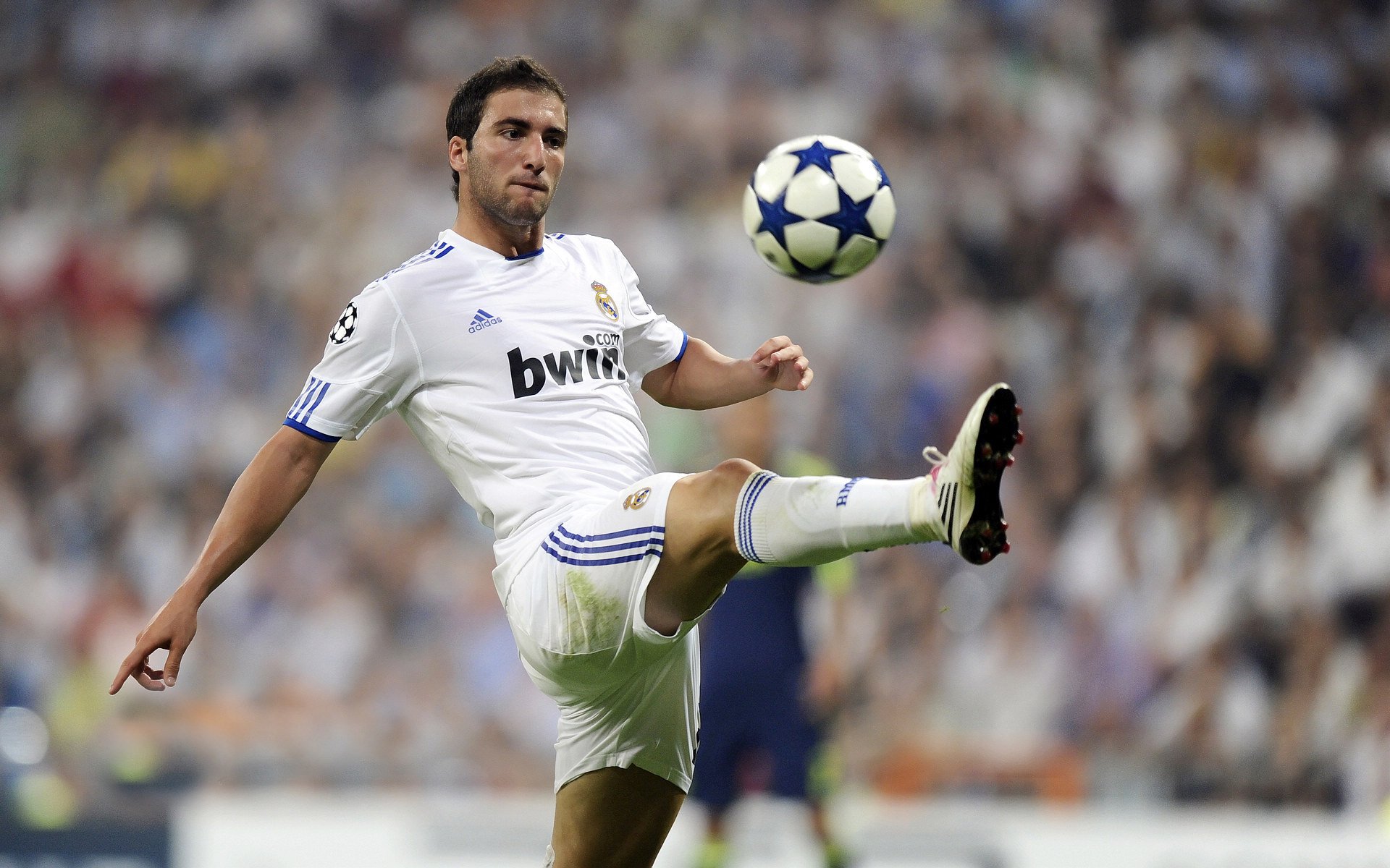 乐鱼体育App下载-杭州马拉松开跑，3万人齐聚西湖之畔，杭州马拉松全程